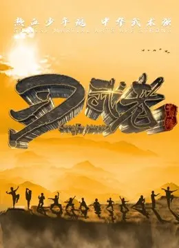 《习武者》全集高清完整版在线观看与剧情解析