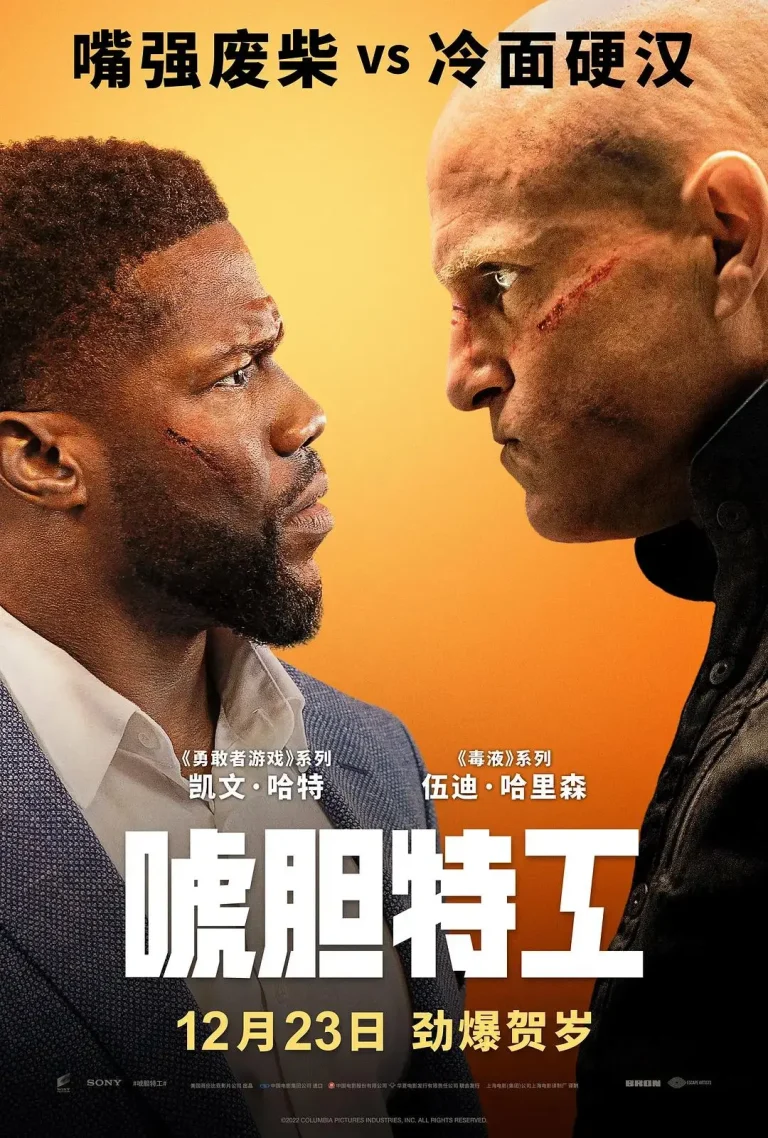 《唬胆特工》全集高清完整版在线观看与剧情解析