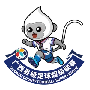 广西县级足球超级联赛 崇左市龙州县队2-4钦州市钦北区队20260321