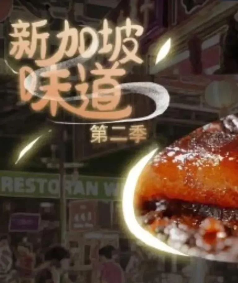 《新加坡味道第2季》全集高清完整版在线观看与剧情解析