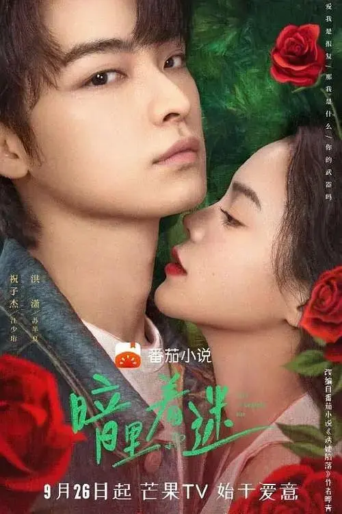 《暗里着迷》全集高清完整版在线观看与剧情解析