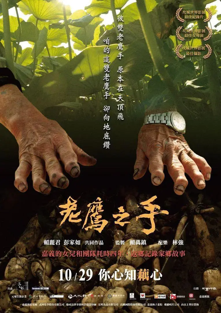 《老鹰之手》全集高清完整版在线观看与剧情解析